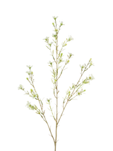 John Lewis Floralsilk Artificial Wax Flower Green Artificial Flower Stem 78cm- Buy online at McGrocer