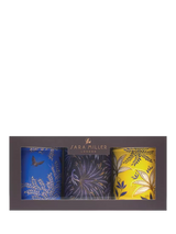 John Lewis Sara Miller Anniversary Collection Storage Tin Caddy Set of 3, 1.9L- Buy online at McGrocer