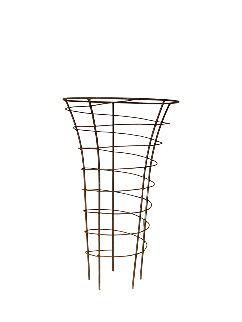 Wilstone Trumpet Plant Frame H80cm - British product
