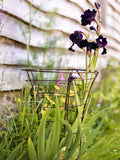 Wilstone Trumpet Plant Frame H80cm - British product