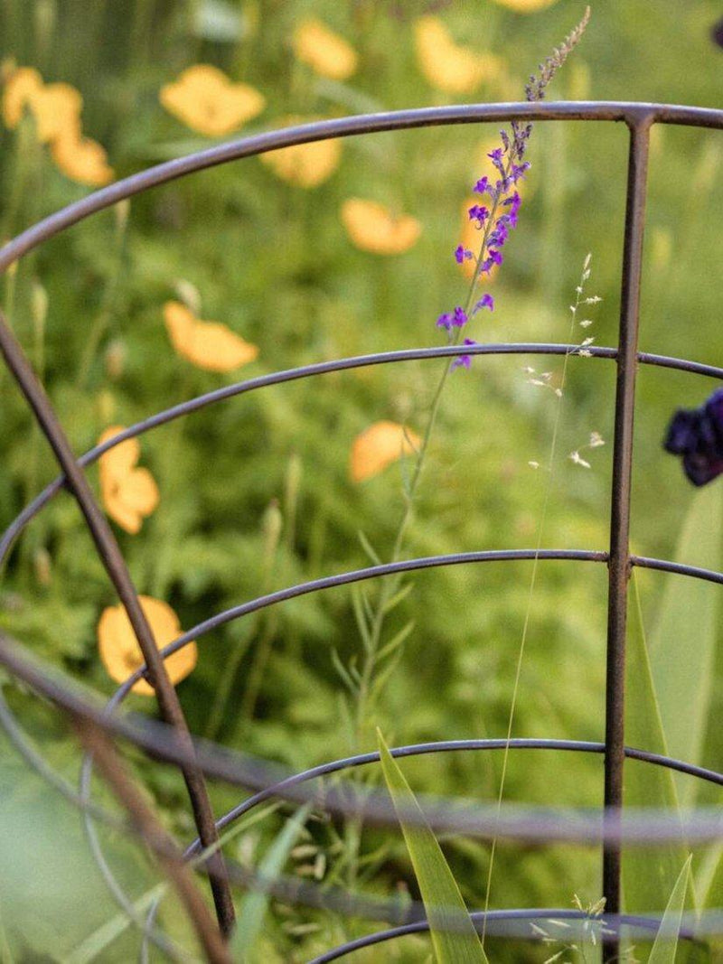 Wilstone Trumpet Plant Frame H80cm - British product