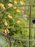 Wilstone Trumpet Plant Frame H80cm - British product