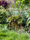 Wilstone peony plant frame mild steel garden support (British brand)