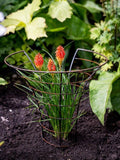 Wilstone peony plant frame mild steel garden support (British brand)