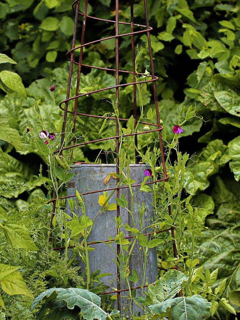 Wilstone Spiral Obelisk garden support mild steel (British brand)