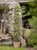 Wilstone spiral pot obelisk mild steel garden support (British brand)