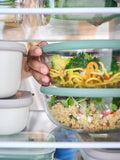 Mepal Cirqula glass meal tray Nordic Sage three compartments (British brand)
