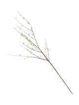John Lewis West Elm Faux Blossom Branch- Buy online at McGrocer