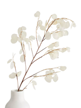 John Lewis West Elm Faux Lunaria Branch 113cm- Buy online at McGrocer
