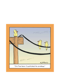 Woodmansterne greeting card birds on telephone wire, imported from the UK