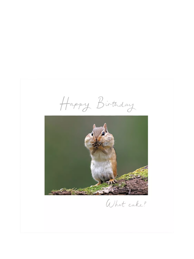 Woodmansterne birthday card chipmunk design blank inside, imported from the UK