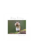 Woodmansterne birthday card chipmunk design blank inside, imported from the UK