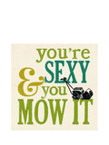 Woodmansterne 'You're Sexy And You Mow It' card 166x167mm - British product