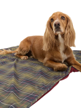 John Lewis Barbour Tartan Dog Towel Blanket Multi- Buy online at McGrocer