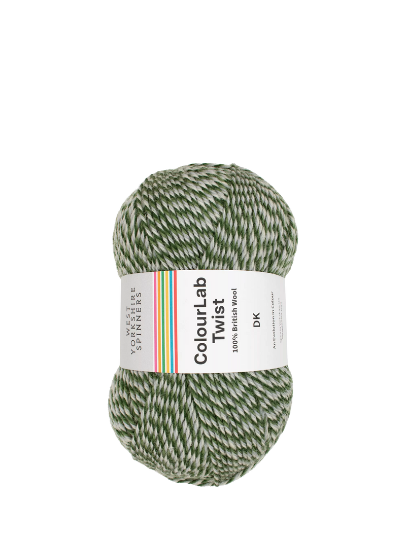 West Yorkshire Spinners Colourlab Twist DK Knitting Yarn, 100g