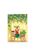 Art File stripe fruit blank greeting card (British brand)