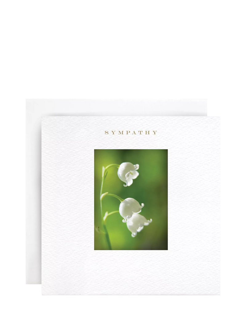 Susan O'Hanlon Lily of the Valley sympathy card with white envelope - British product