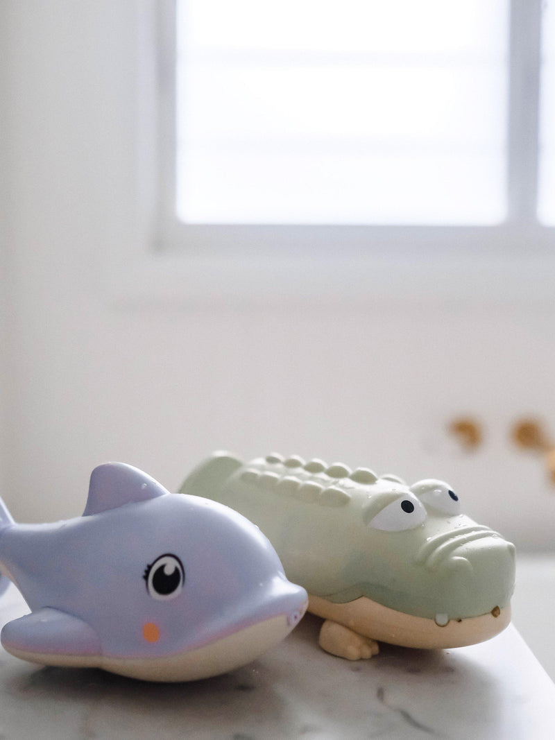 Sunnylife dolphin water squirter toy, imported from the UK