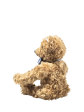 Steiff British Collectors Teddy Bear 2026, UK version