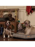 Joules Henson Check pet duvet with non-slip base, UK version