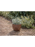 nkuku Dunai medium terracotta planter 35cm (British brand)