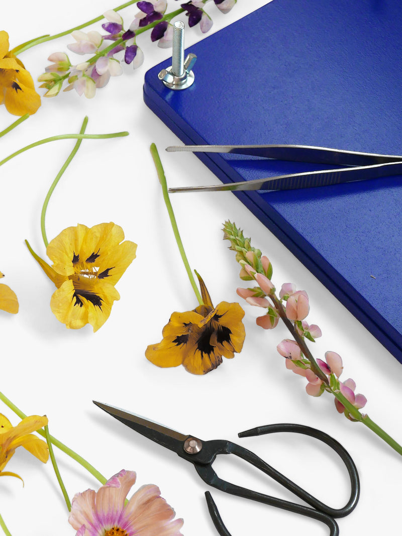 PRINTWORKS flower press kit - British product