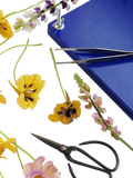 PRINTWORKS flower press kit - British product