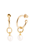 Recognised pearl hoop earrings gold vermeil - British product