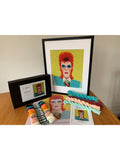 Appletons David Bowie tapestry kit, imported from the UK