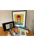 Appletons David Bowie tapestry kit, imported from the UK