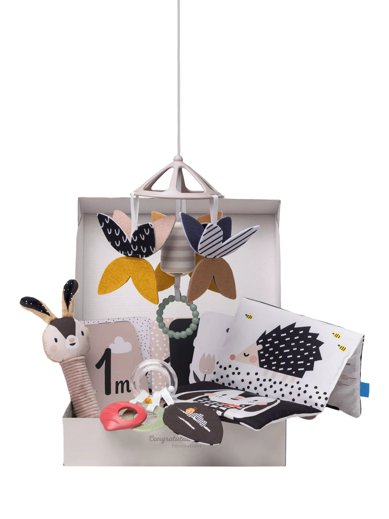 Taf Toys newborn black white kit 10 pieces - British product