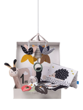 Taf Toys newborn black white kit 10 pieces - British product