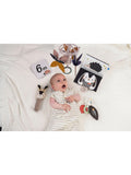 Taf Toys newborn black white kit 10 pieces - British product