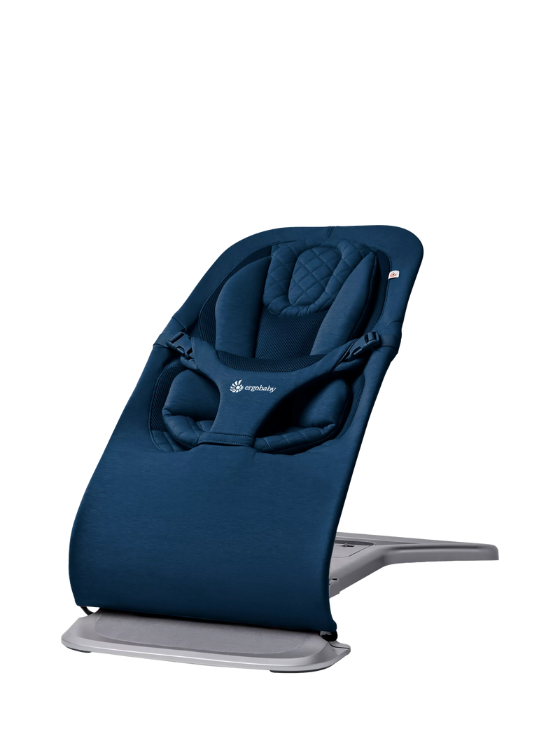 Ergobaby Evolve Baby Bouncer