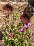 Wilstone Poppy Plant Support pack of 3 rusty finish (British brand)