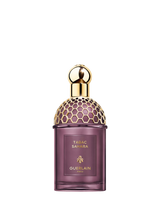 John Lewis Guerlain Absolus Allegoria Tabac Sahara Eau de Parfum 125ml- Buy online at McGrocer