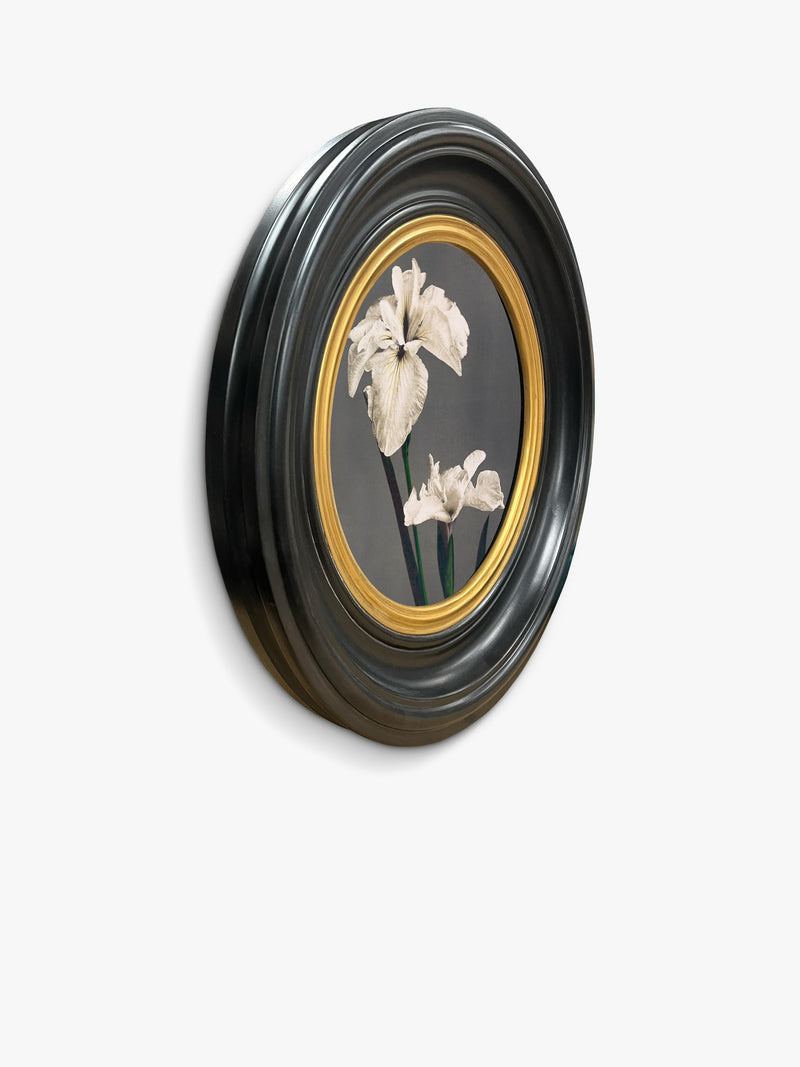 Brookpace Lascelles Iris round framed canvas print 43cm (British brand)