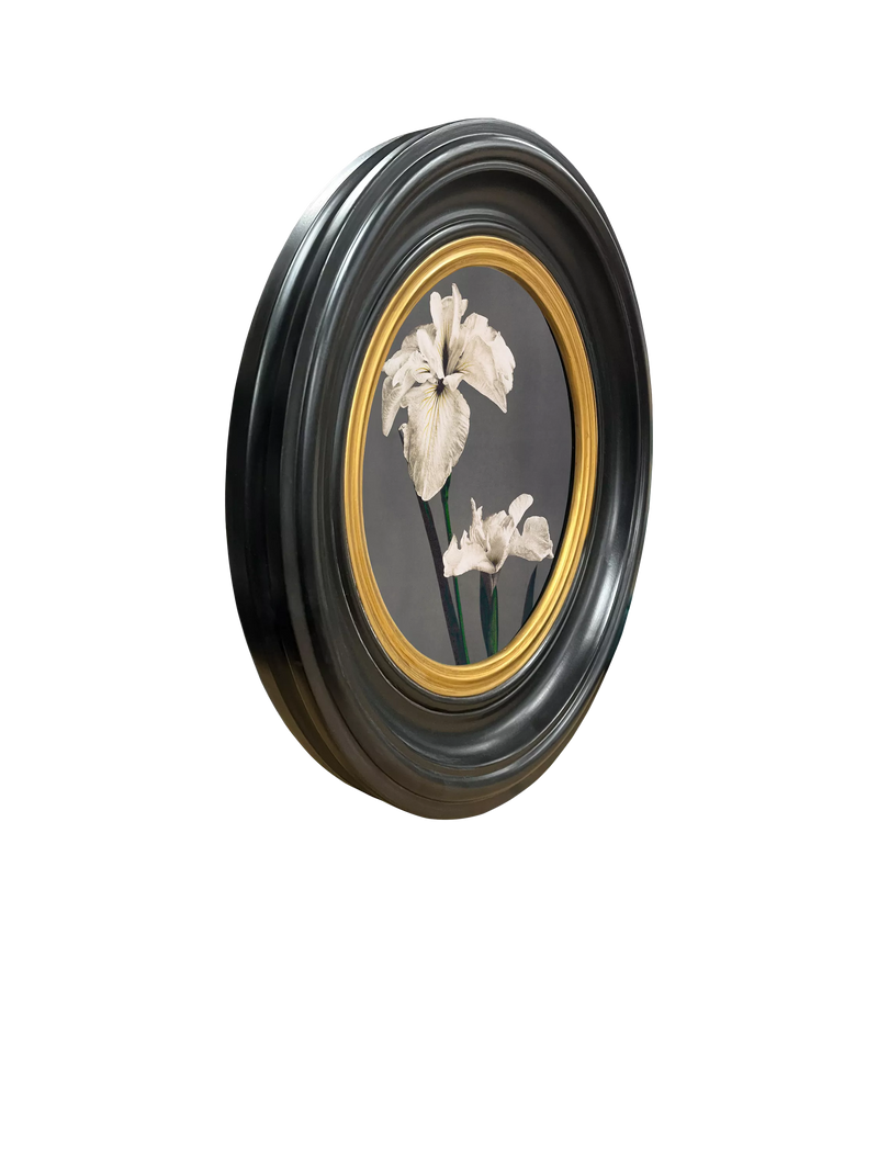 Brookpace Lascelles Iris round framed canvas print 43cm (British brand)