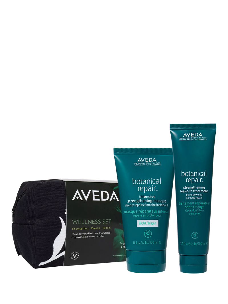 Aveda hair repair gift set with masque and leave-in treatment (British brand)