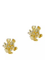 John Lewis Ted Baker Futura Furled Flower Stud Earrings Gold- Buy online at McGrocer