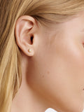 Ted Baker mini pearl stud earrings in gold, imported from the UK