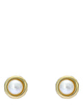 Ted Baker mini pearl stud earrings in gold, imported from the UK