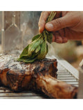 Kasai Konro Grill with Asado top edition, imported from the UK