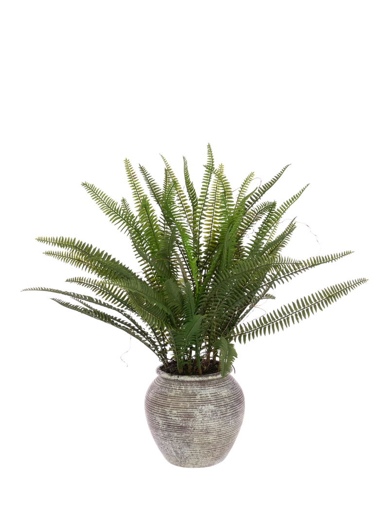 Floralsilk artificial fern in ceramic pot H56cm, imported from the UK