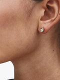 EDBLAD stud earrings gold cubic zirconia 7mm (British brand)