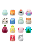 Squishmallows Squish-a-longs Mini-Squish 14-pack, imported from the UK