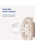 MAM night soother pack of 2 for 6-18 months blue, imported from the UK