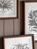 John Lewis Fresco botanical framed prints set of 3, imported from the UK