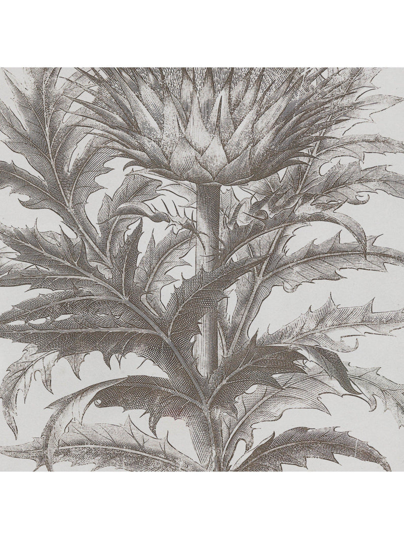 John Lewis Fresco botanical framed prints set of 3, imported from the UK