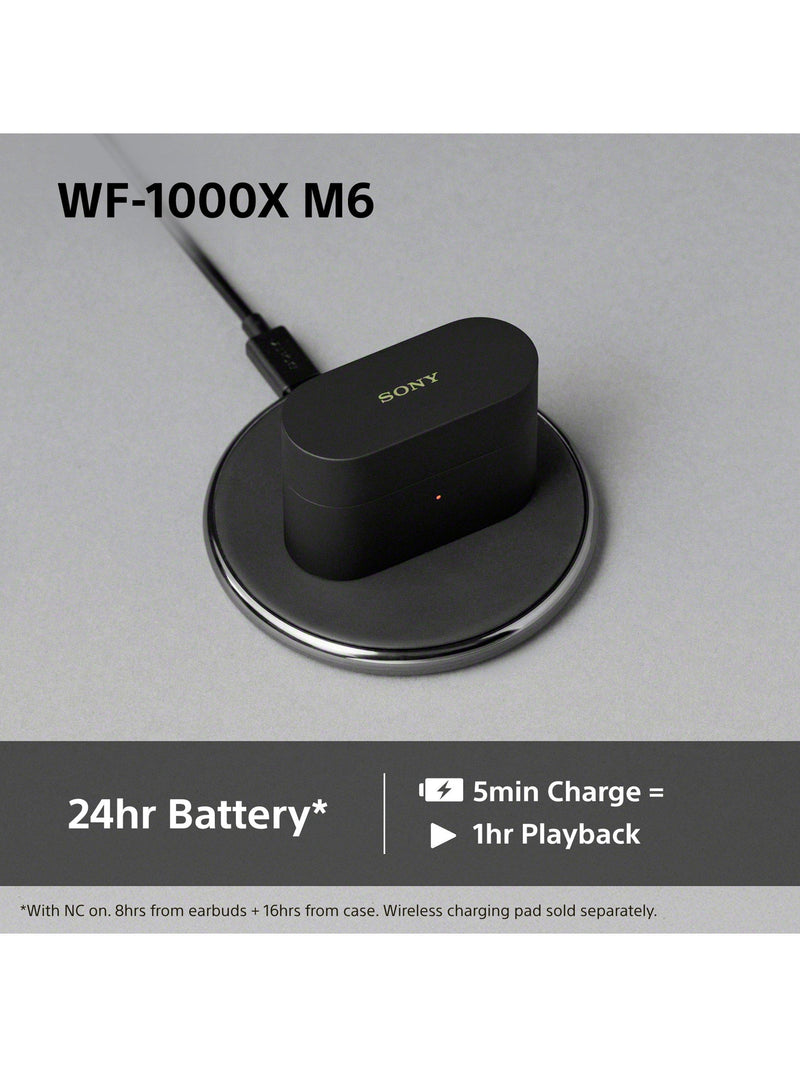 Sony WF-1000XM6 noise cancelling earbuds (British brand)